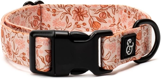 Lucy & Co. Dog Collar by LucyCo