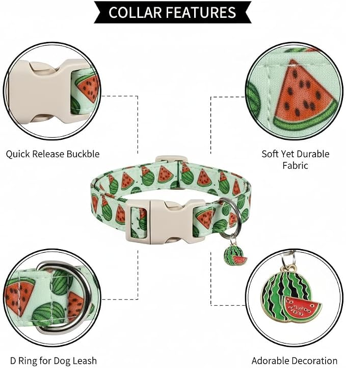 Summer Dog Collar for Large Dogs, Cute Dog Collar - Image 2