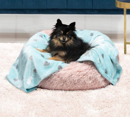 Juicy Couture Plush Flannel Pet Throw Blanket, Turquoise Juicy Scottie Hearts - Image 2