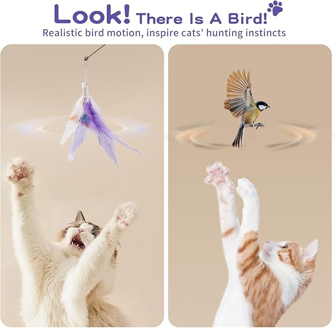 Pawaboo Feather Teaser Cat Toy, Interactive Feather Wand Cats Toy Flying - Image 4