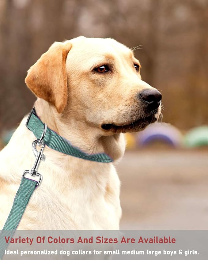 Reflective Dog Collar with Buckle Adjustable Safety Nylon Collars - Image 7
