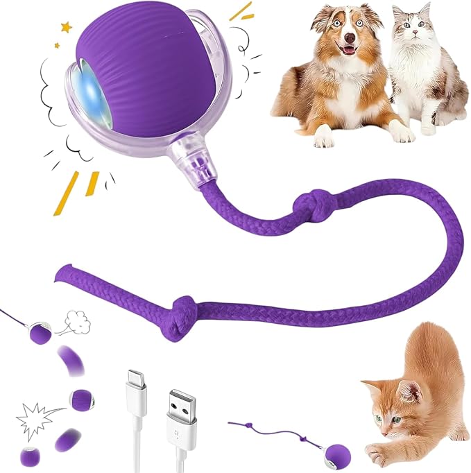 Interactive Electric Automatic Rolling Moving Rechargeable Self Play by Unknown
