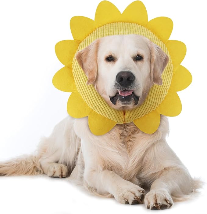 IEUUMLER Inflatable Recovery Dog Collar, Protective Donut Cone, Adjustable Soft by IEUUMLER