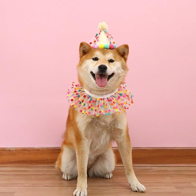 Cat Dog Princess Costumes Puppy Cat Birthday Bandana Scarf and Party Hat Cute - Image 3