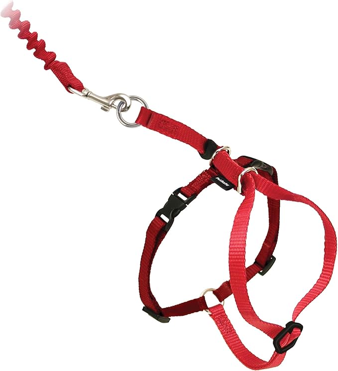 PetSafe Come With Me Kitty Cat Harness & Bungee Leash by PetSafe