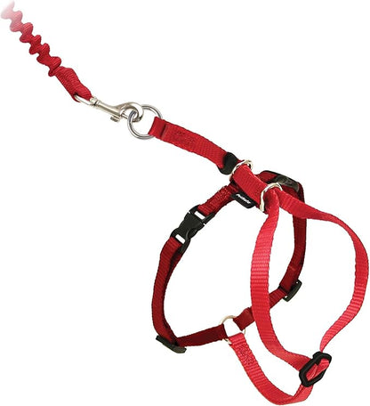 PetSafe Come With Me Kitty Cat Harness & Bungee Leash by PetSafe