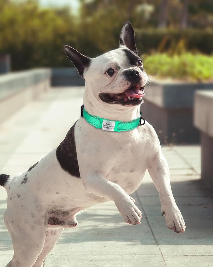 TagME Reflective Nylon Dog Collars, Adjustable Classic Pet Collar - Image 2