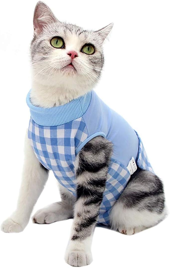 Cat Recovery Suit for Abdominal Wounds or Skin Diseases, Cat Onesie for Cats by Coppthinktu