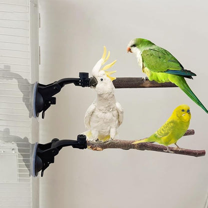 Natural Wood Bird Perch Stand - Image 7