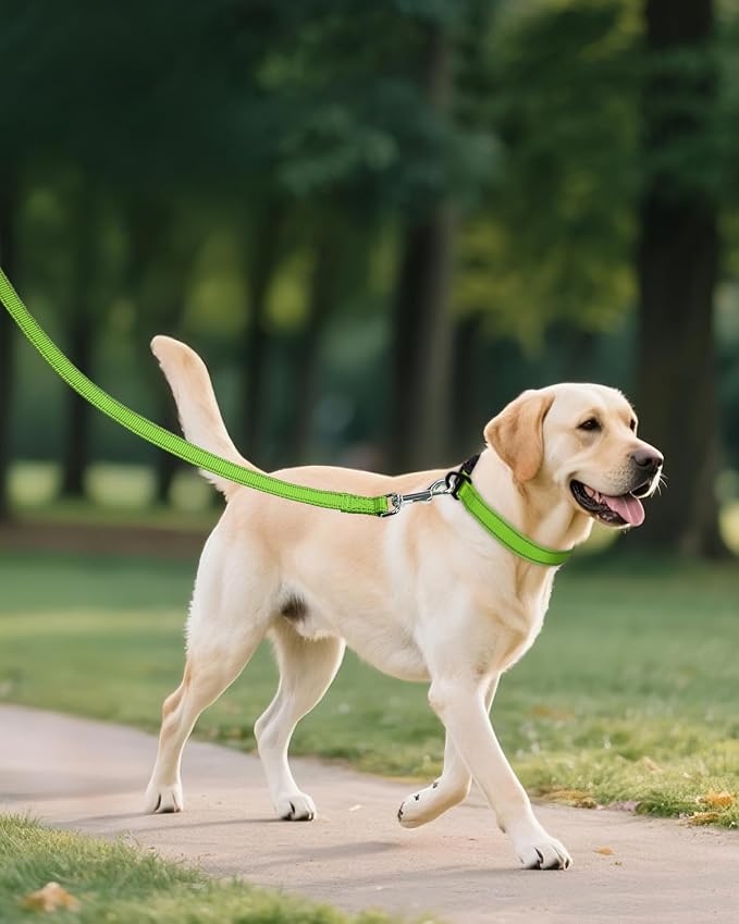 Joytale Large Dog Collar, Reflective and Adjustable Nylon Pet Collar - Image 6