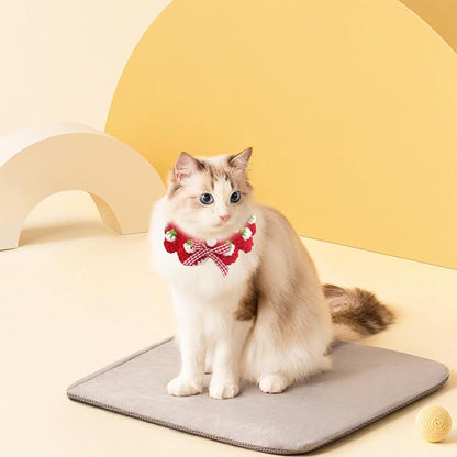 Cat Collar Breakaway, Kitten Collar - Image 2