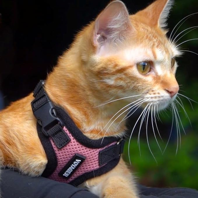 Best Pet Supplies Voyager Reflective Dog Leash or Collar - Image 5