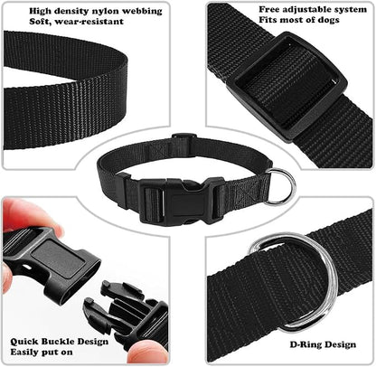 Dog Collar Black Basic Adjustable Dog Collars - Image 3