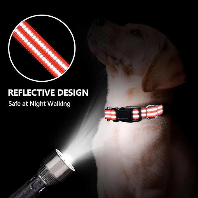 Martingale Dog Collar, Adjustable Nylon Reflective Collar - Image 2