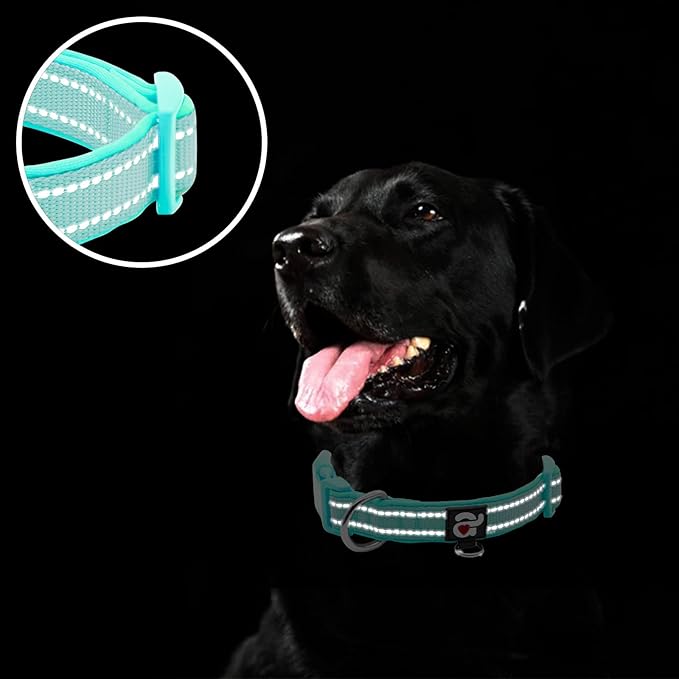 azuza Reflective Dog Collar, Soft Neoprene Padded Pet Collar - Image 4