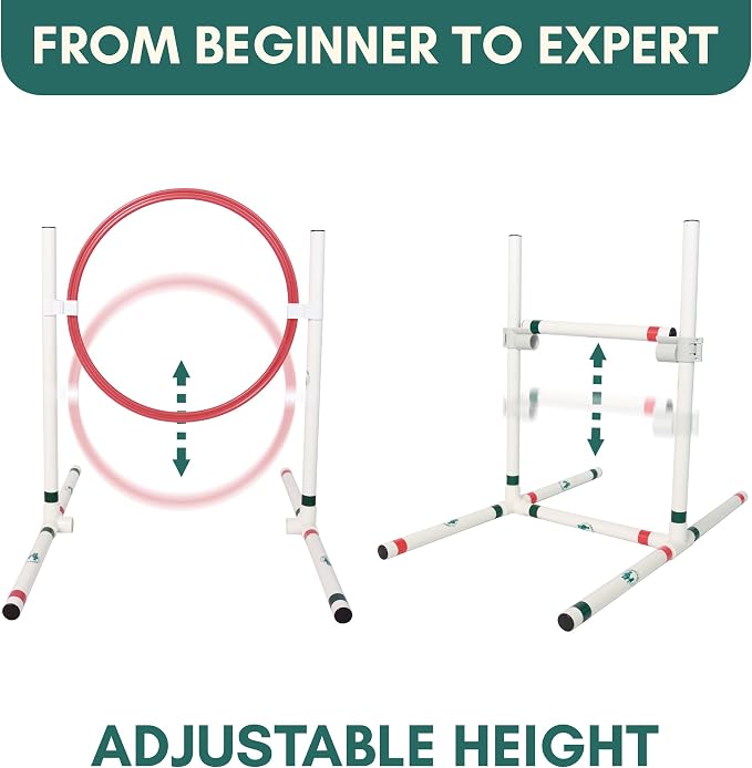 ALBERT & MIA CATGILITY Cat Agility Equipment + Clicker Trainer Guide – Exercise - Image 5