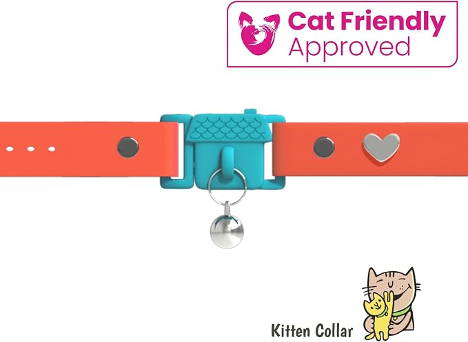 Kittyrama Tangerine Kitten Collar - Image 2