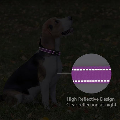 Reflective Dog Collar Padded - Image 5
