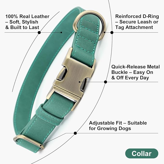 Plutus Pet Genuine Leather Dog Collar – Adjustable Pet Collar - Image 2