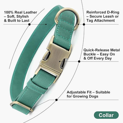 Plutus Pet Genuine Leather Dog Collar – Adjustable Pet Collar - Image 2
