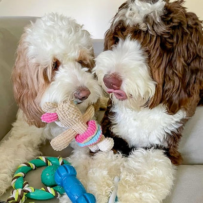 rocket & rex Dog Chew Toy Set for Small to Medium Breeds, Includes All Natural - Image 5
