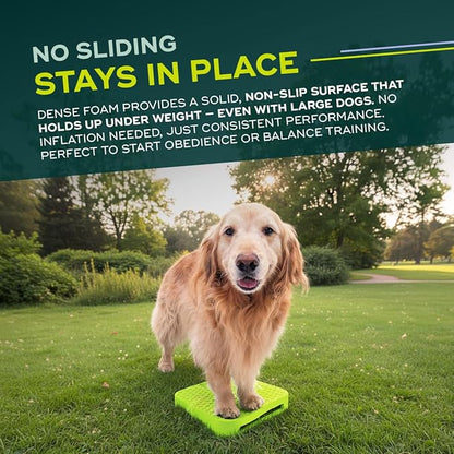 FitPAWS Balance Ramp | Dog Agility Equipment - Image 2