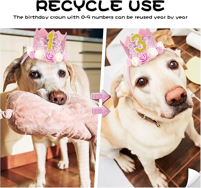 Pet Crown Dog Birthday Hat Reusable Birthday Party Crown Girl Cat Doggie - Image 4