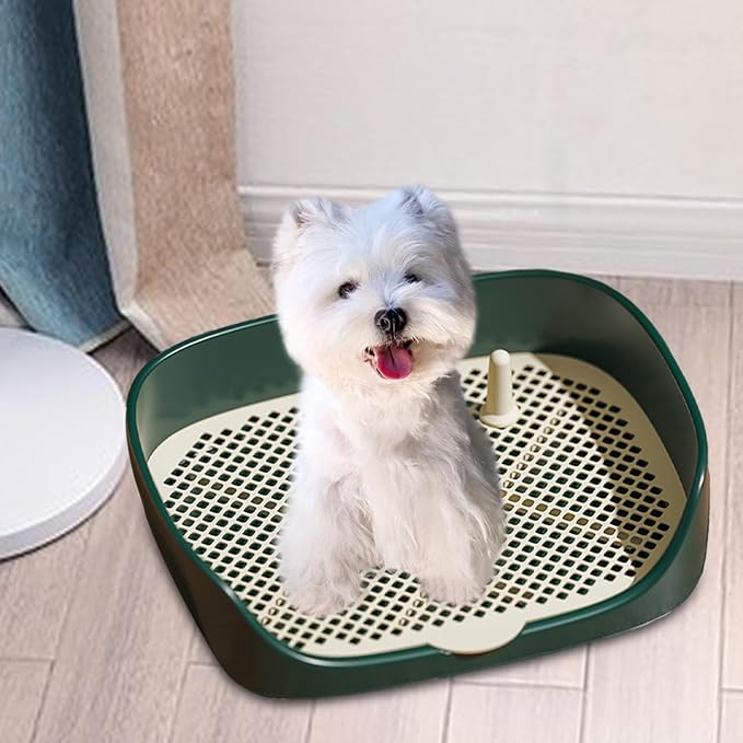 Dog Tray with Wall for Cats and Dogs, Elevated Pet Feeding Station, - Image 6