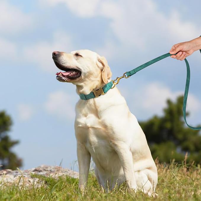 Didog Soft PU Leather Dog Collar, Stylish Quick Released Dog Collars - Image 3