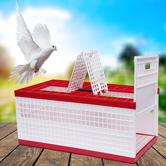 Plastic Foldable Pigeon Carrier Cage, Racing Pigeon Carrier Box - Image 2