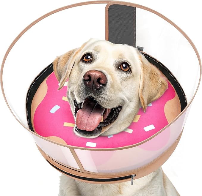 Inflatable Dog Cone with Transparent Shield, Protective Dog Donut Collar After by Didopet