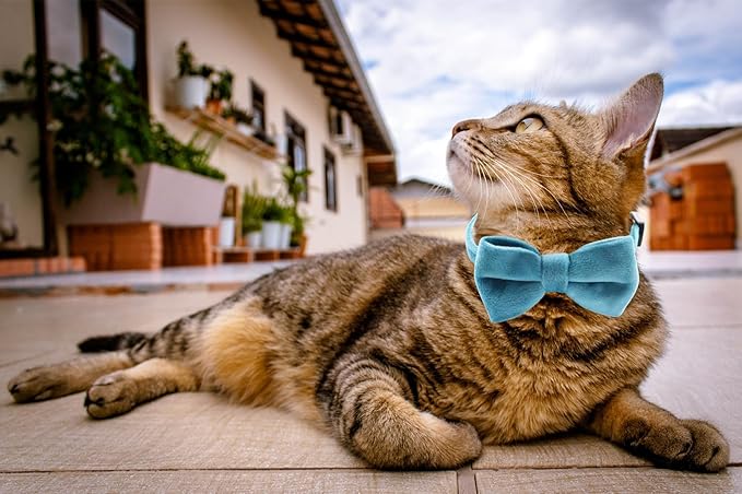 Cat Collar Breakaway with Bell and Removable Bow Tie Safety Buckle Velvet - Image 7