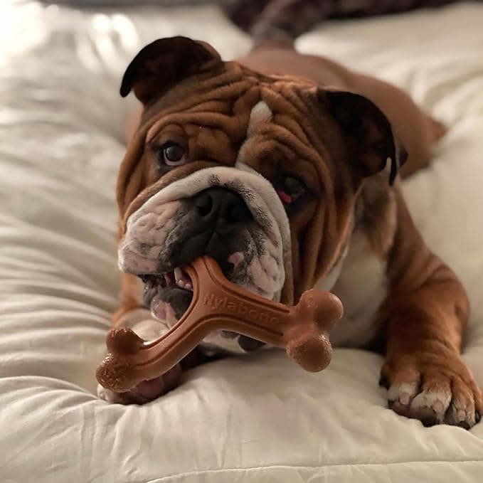 Nylabone Ergonomic Hold Wishbone Power Chew Toy - Image 2