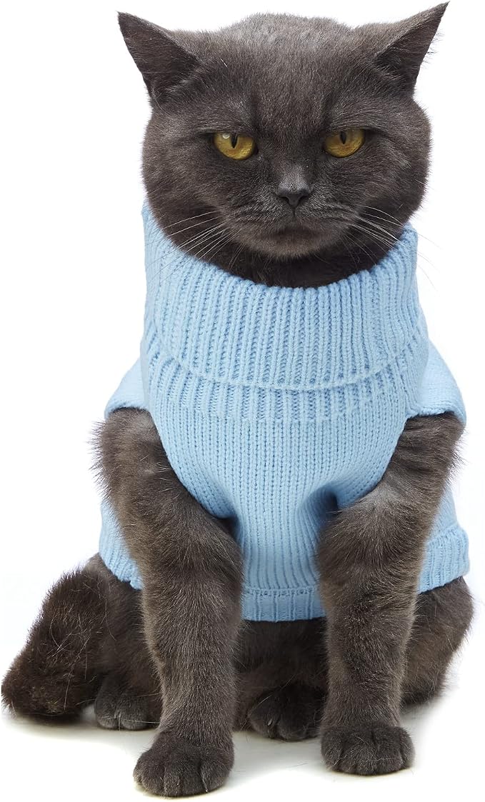 Stretchy Cat Sweater - Image 2