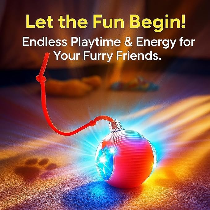 Interactive Electric Automatic Rolling Moving USB Rechargeable Self Activated - Image 2