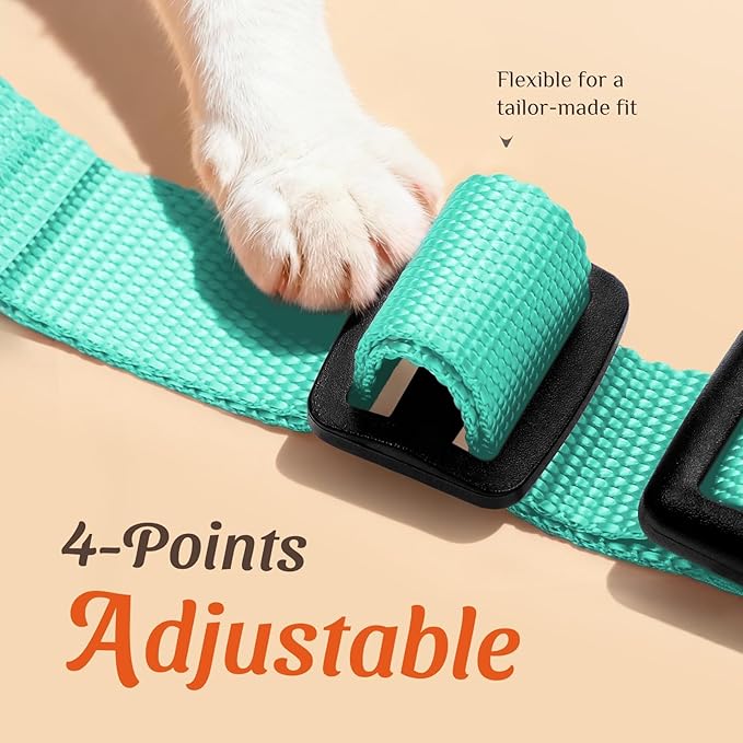 Dooradar Cat Harness and Leash Set, Escape Proof Safe Adjustable Kitten Vest - Image 3