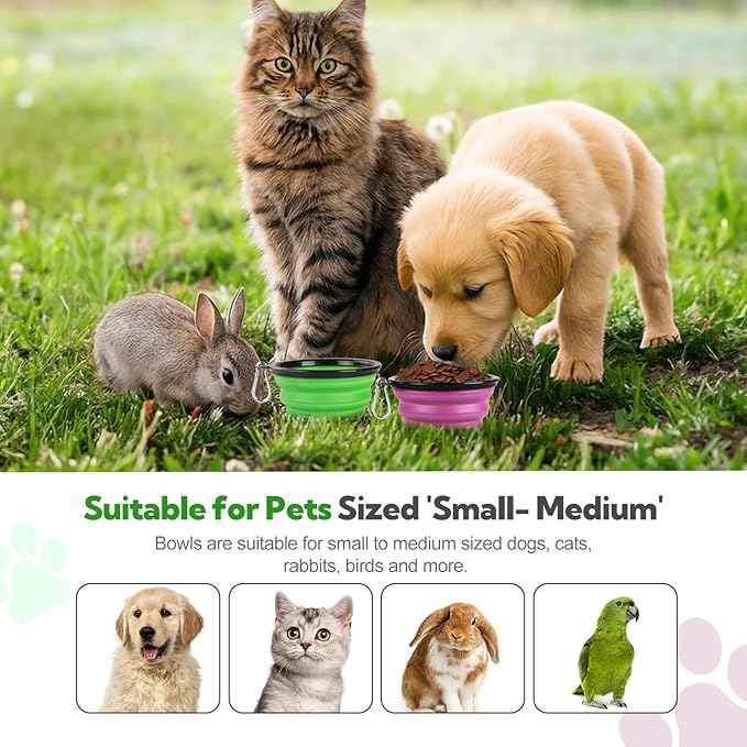 Collapsible Dog Bowl 2 Pack, Dog Water Bowls - Image 6