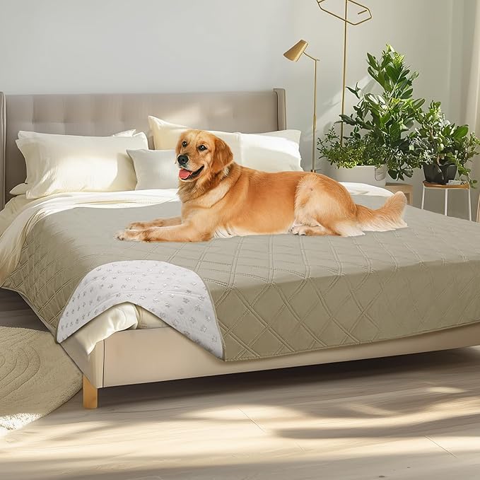 Luciphia 100% Waterproof Couch Cover Blanket by luciphia