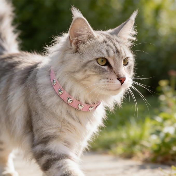 EXPAWLORER Leather Cat Collar for Girl Boy Valentine's Day - Image 7