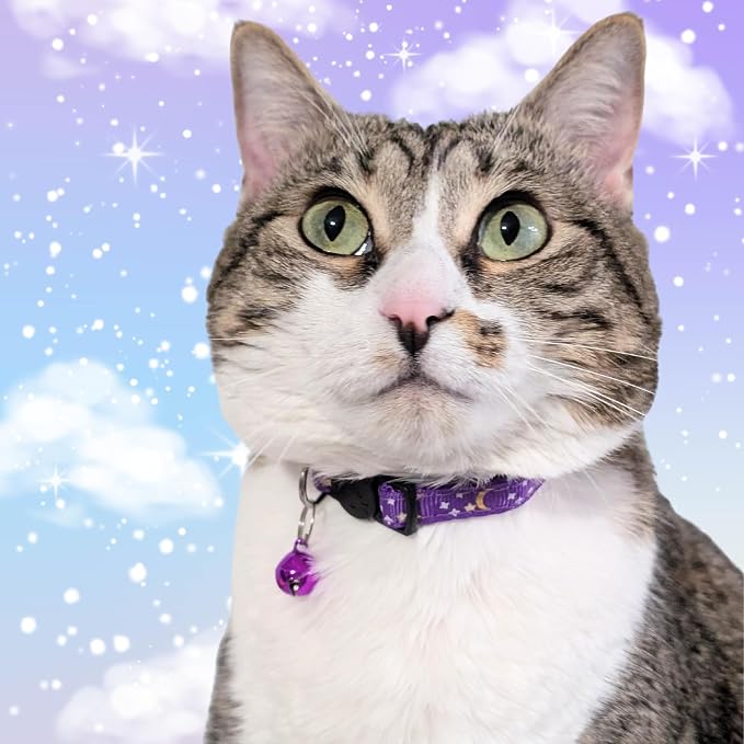 Set of 2: KioKatt Celestial Nylon Cat Collars - Image 2