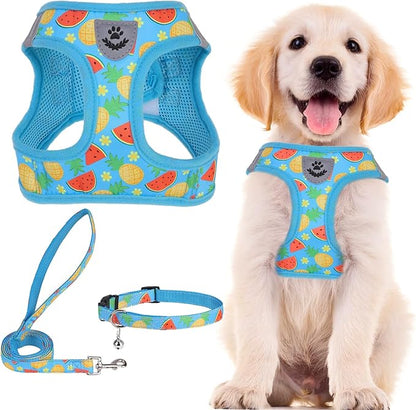 PUPTECK Adjustable Dog Harness Collar and Leash Set Step in No Pull Pet Harness by PUPTECK