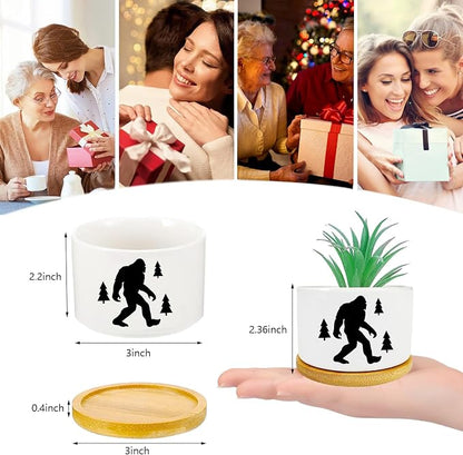 Window Garden Bigfoot Planter Pots, Bigfoot Gifts - Image 5