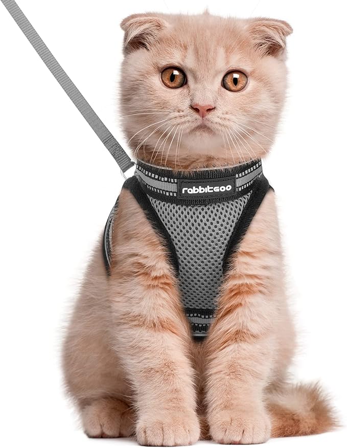 rabbitgoo Cat Harness and Leash Set by rabbitgoo