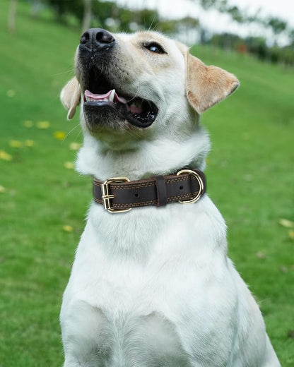 Joytale Genuine Leather Dog Collar - Image 2