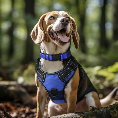 Joytale Reflective Dog Collar, Soft Neoprene Padded, Metal D-Ring, Nylon Pet - Image 2