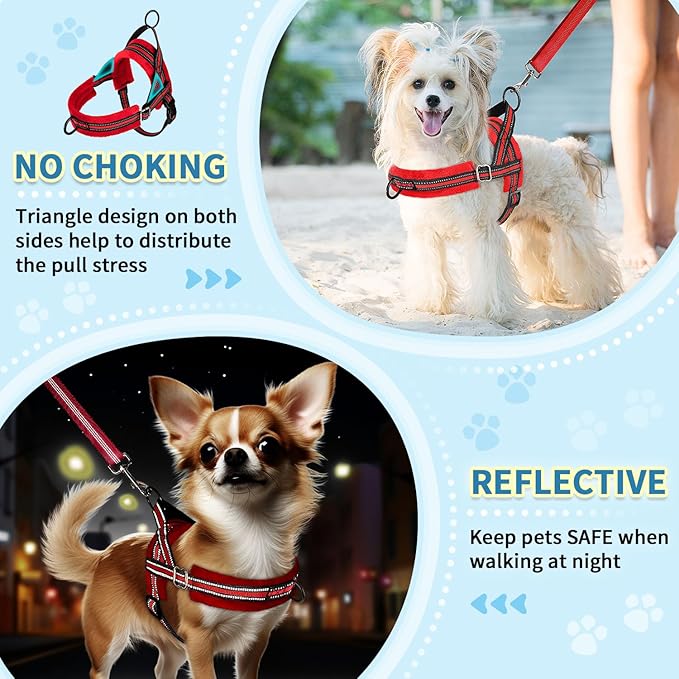 SlowTon No Pull Small Dog Harness and Leash Set, Puppy Soft Vest Harness Neck & - Image 3