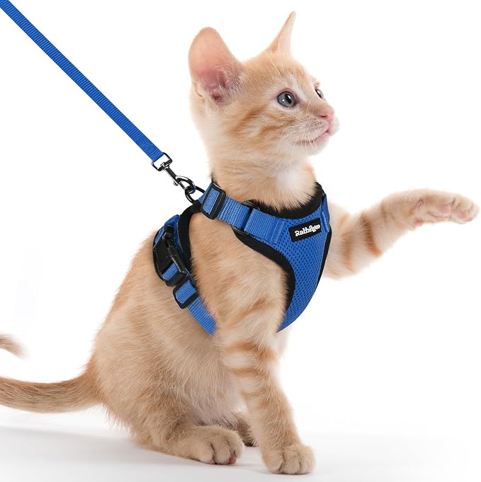 rabbitgoo Cat Harness and Leash by rabbitgoo