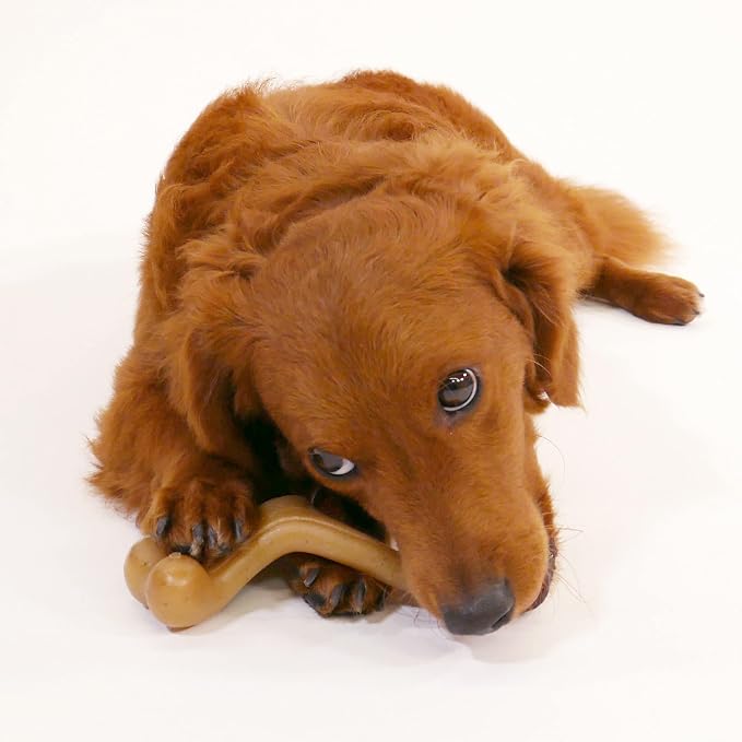 Nylabone Gourmet Style Wishbone Strong Chew Toy - Image 7