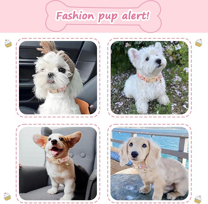 Halloween Dog Collar, Fall Dog Collars - Image 6
