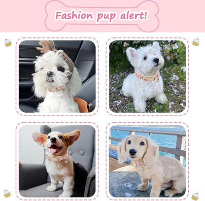 Halloween Dog Collar, Fall Dog Collars - Image 6
